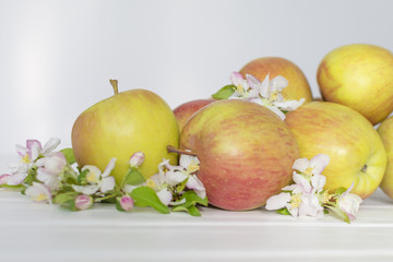 apple flowers and ripe apples on a white wooden background.