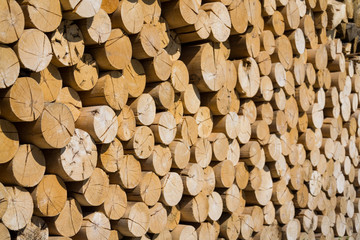 Pile of worked wooden roundish clear beautiful logs, stacked firewood background, view at saw cut, sunny day