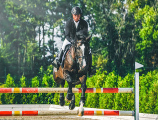 Showjumping competition, bay horse and rider in black uniform performing jump over the bridle. Equestrian sport background. Beautiful horse portrait during show jumping competition.