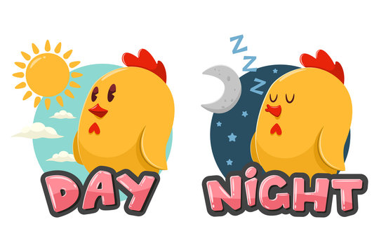 Opposite words Day and Night. Vector cartoon illustration with funny chicken, sun and moon isolated on white background.