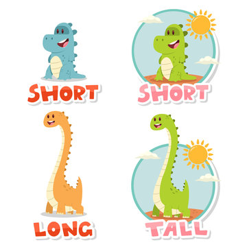 Opposite words Short and Tall, Long. Vector cartoon illustration with cute big and small dinosaurs isolated on white background.