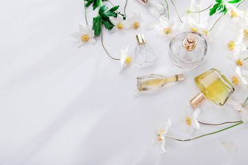 Natural perfume concept. Bottles of perfume with white flowers. Floral fragrance