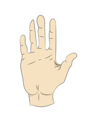 colored hand drawn lines, vector