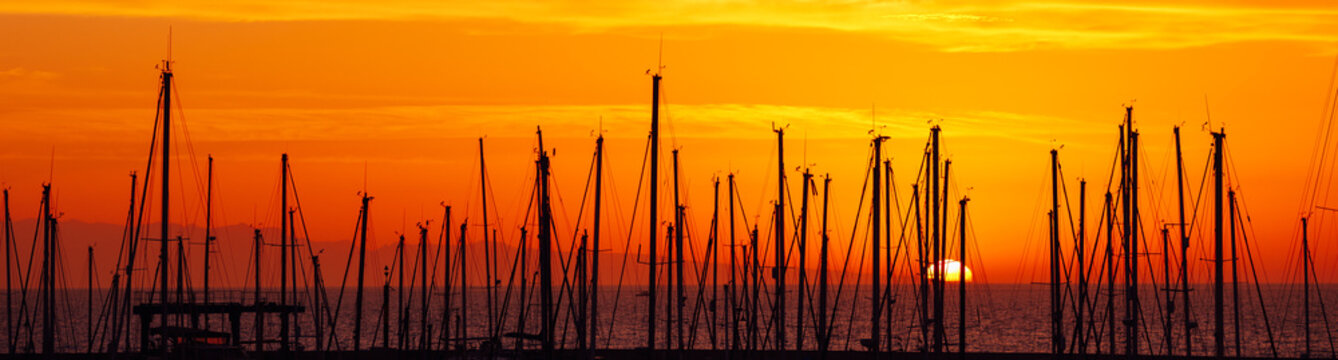 Fototapeta silhouettes of yacht masts, orange sunrise in a port panorama