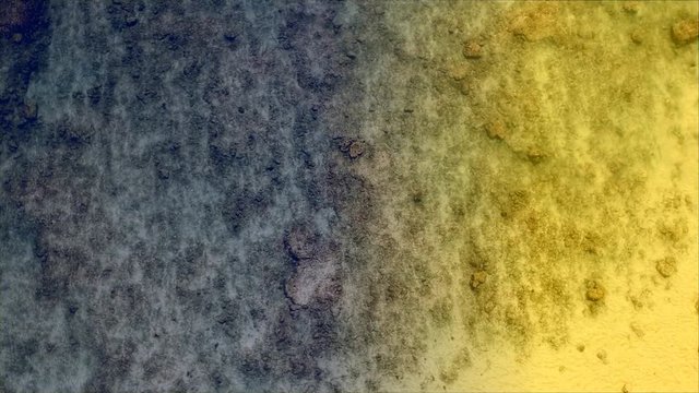 Drone footage Indian Ocean shoreline from above