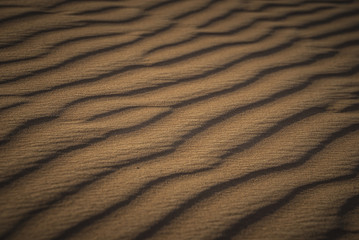 Desert Safari Dubai Landscapes and shapes of the dunes