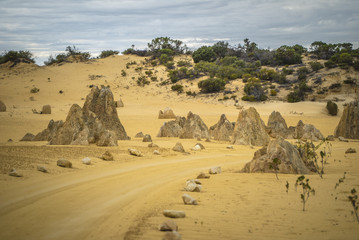 Fototapeta na wymiar The Pinnacles Desert Australia with its amazing landscapes