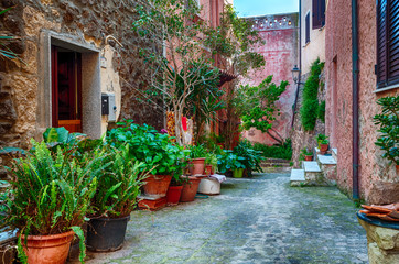 Fototapeta na wymiar the beautiful alley of castelsardo old city