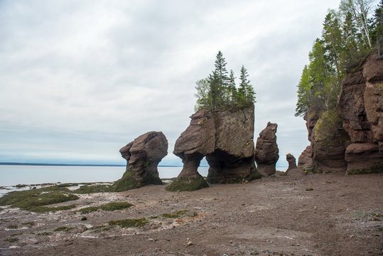 450+ Hopewell Rocks Beach Stock Photos, Pictures & Royalty-Free