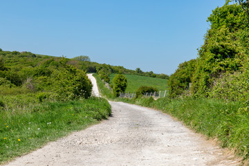 Pathway Through  the Sussex Countryside