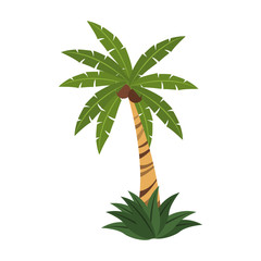 Palm tree isolated vector illustration graphic design