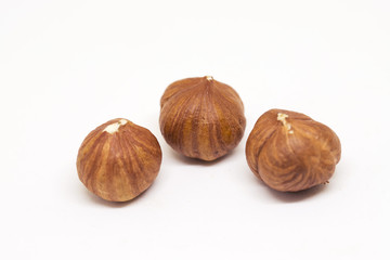 Hazelnut isolated on white background. Three ripe nut closeup photo. Simple organic food.