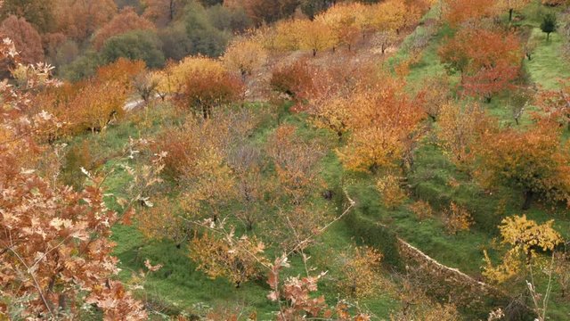 Oto&ntilde;o en el valle del jerte