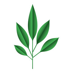 branch with leafs decorative icon vector illustration design