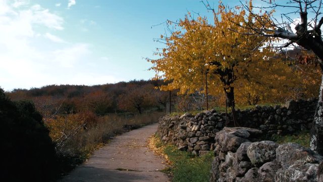 Valle del jerte en oto&ntilde;o