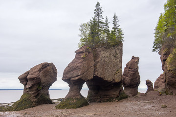 Hopewell Rocks in low tide in Hopewell Rocks Ocean Tidal Exploration Site, New Brunswick, Canada.
