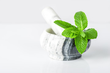 the branch of fresh mint lies in a marble mortar on a white background