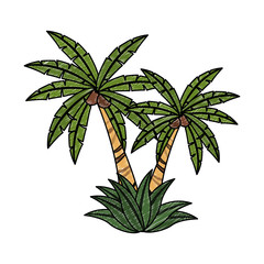 Palms tree isolated vector illustration graphic design