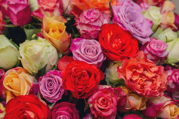 Obraz na płótnie Canvas Beautiful background of colorful roses. Wedding Decorations
