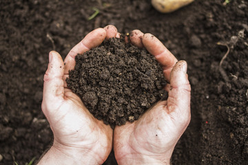 A handful of earth in the hands of a farmer closeup