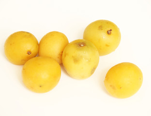 Coquinho Mango, São Paulo, Brazil