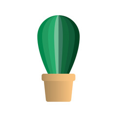 cactus in pot houseplant vector illustration design
