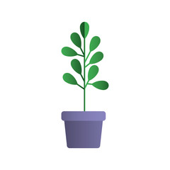 leafs plant in pot decorative icon vector illustration design