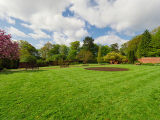 Spring garden,Northern Ireland