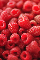 Ripe raspberries macro. Selective focus. Fruit background with copy space. Sunny summer and berries harvest concept. Sunlight effect. Vegan, vegetarian, raw food.