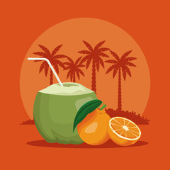 Coconut summer cocktail vector illustration graphic design