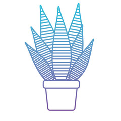 aloe plant in pot houseplant vector illustration design