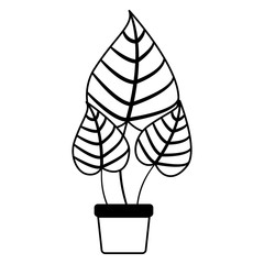 leafs plant in pot decorative icon vector illustration design