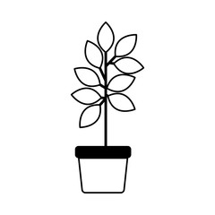 leafs plant in pot decorative icon vector illustration design