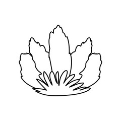 beautiful flower decorative icon vector illustration design