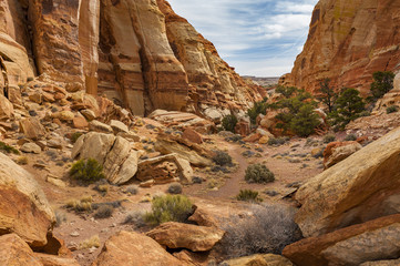 Cohab Canyon Trail, Capitol Reef National Park, Utah. Cohab Canyon’s speckled walls, towering fins, and thin slots are the main attraction in this scenic hike. 