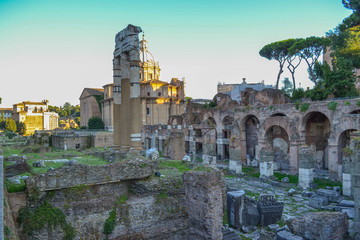 Fototapeta premium Roman Forum in Rome, Italy. Forum Romanum or Forum Magnum.