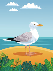 Stork on beachscape cartoon vector illustration graphic design