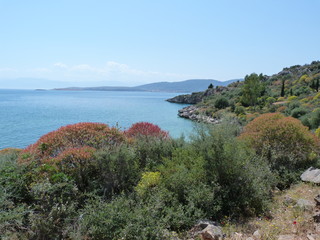 Paradis au Golfe de Corinthe