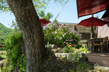 香川県 小豆島 中山 棚田 こまめ食堂