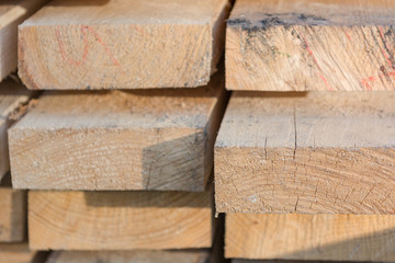 Texture of the board from the butt. The end of the tree. Many boards.