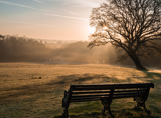 Misty sunrise bench - Powered by Adobe