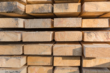 Obraz premium Texture of the board from the butt. The end of the tree. Many boards.