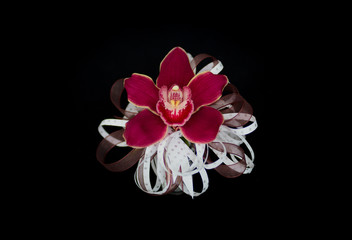 orquídea