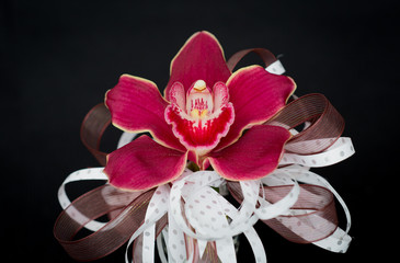 orquídea