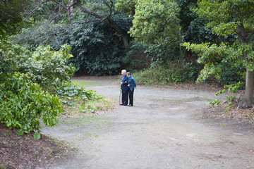 Fototapeta na wymiar 散歩する老夫婦のロングショット。