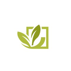 Obraz premium Green Leaf Icon Vector Illustrations, Eco icon green leaf vector illustration isolated. 