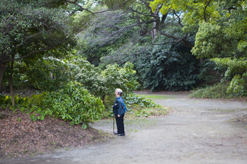 Obraz premium 森を散歩する老夫婦。ロングショット。