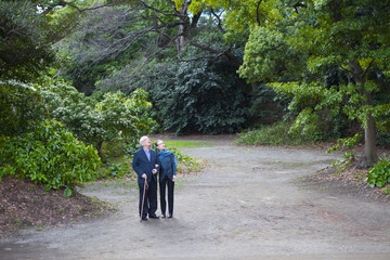 Obraz premium 森を歩く老夫婦。木々を見上げている。