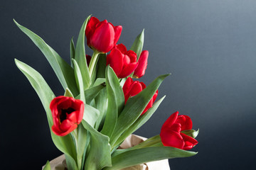 Beautiful bouquet of red tulips in a paper bag over a dark background