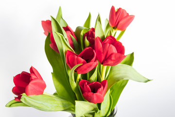 Beautiful bouquet of red tulips in a paper bag over a dark background